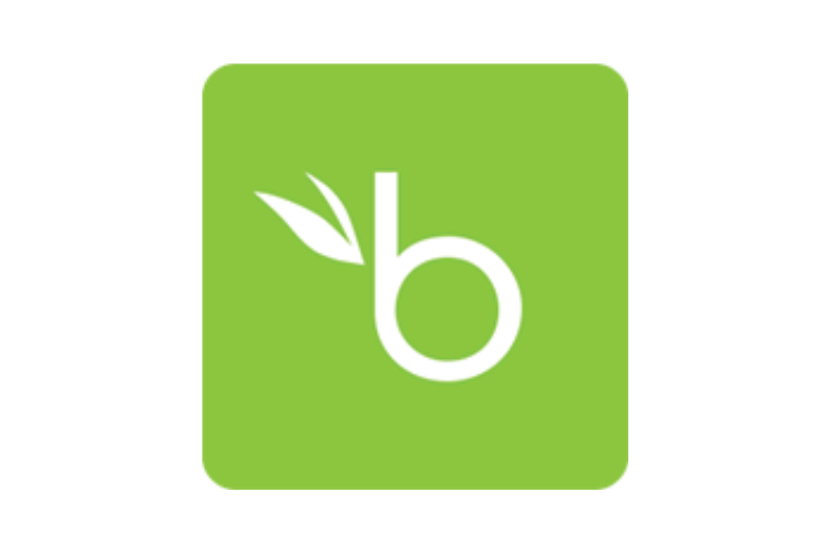 Bamboo HR
