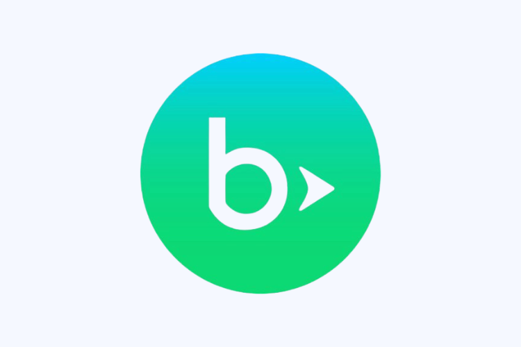Companies using Blackbaud